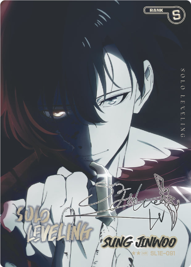 Solo Levelling | Booster