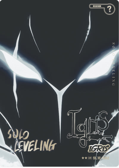 Solo Levelling | Booster